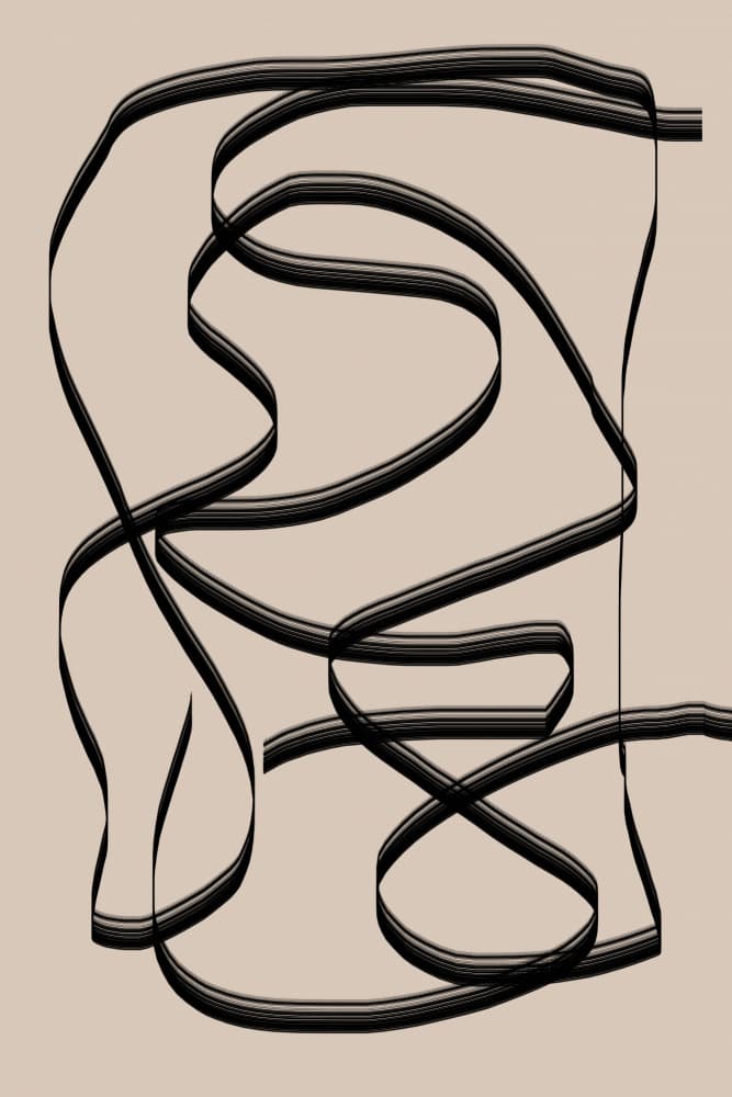 Flowing Lines Maze by THE MIUUS STUDIO — canvas wall art