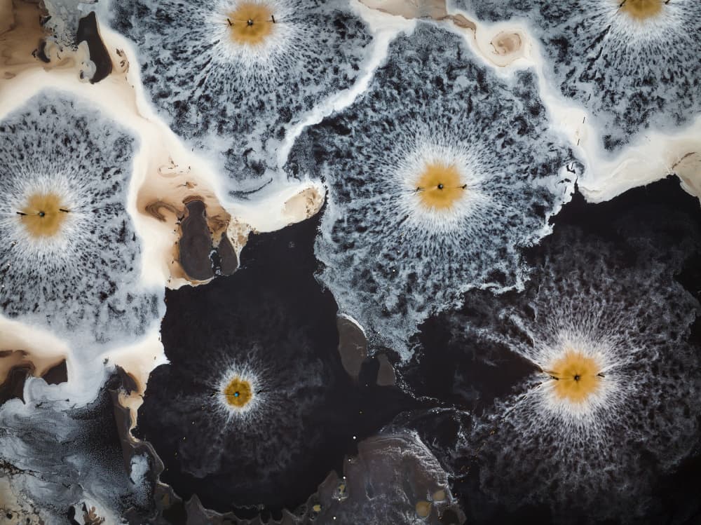 Golden Fluid Patterns by Shenshen Dou — canvas wall art