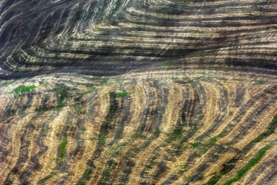 Curving Field Patterns by Jure Kravanja — canvas wall art