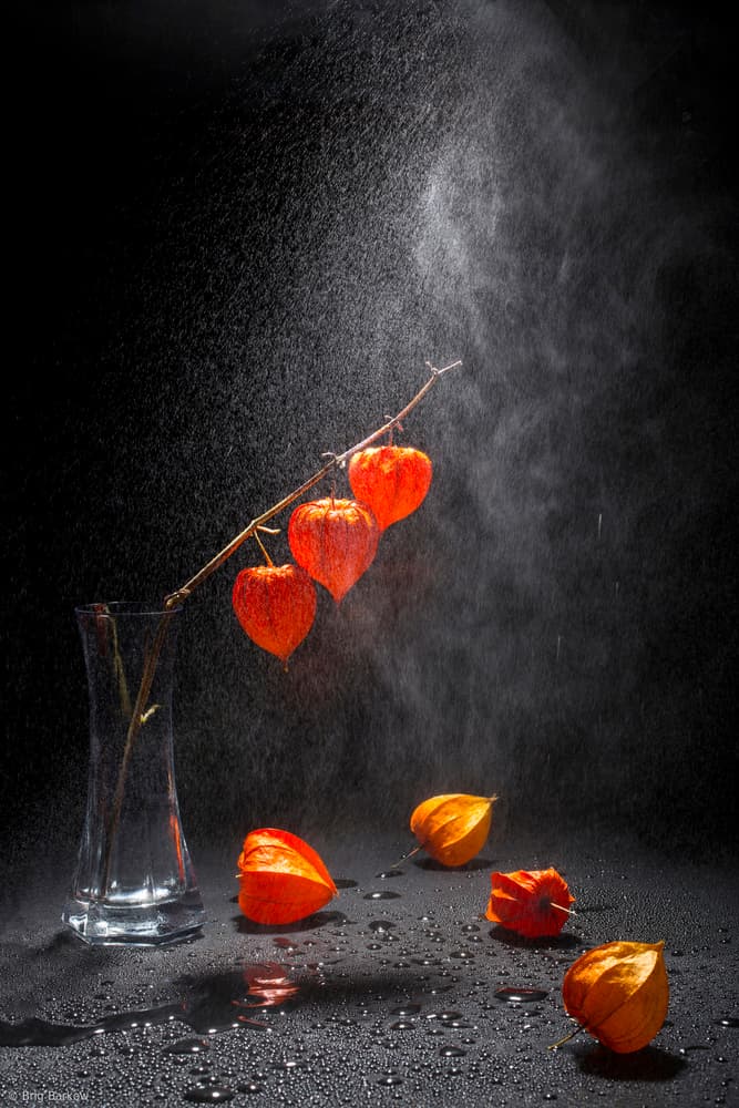 Vibrant Orange Lanterns by Brig Barkow — canvas wall art