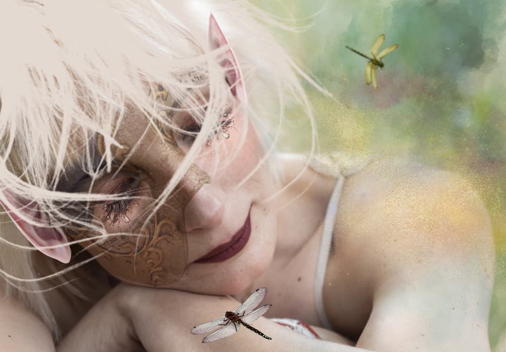 Dreamy Elf with Dragonflies by Ewa Całkosińska-Kajzer — canvas wall art