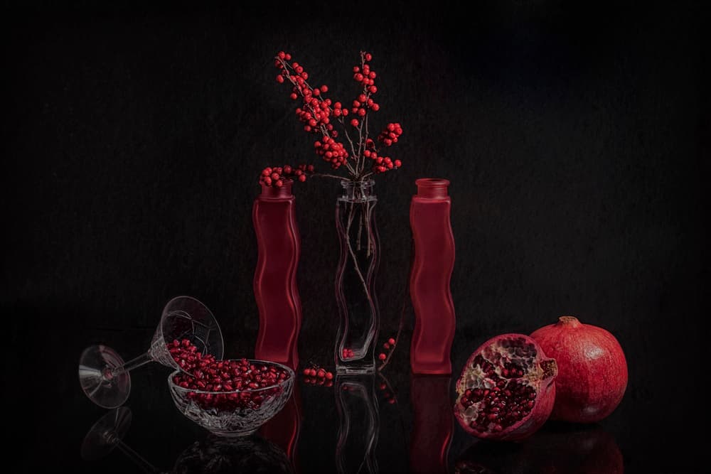 Elegant Red Still Life by Lydia Jacobs — canvas wall art
