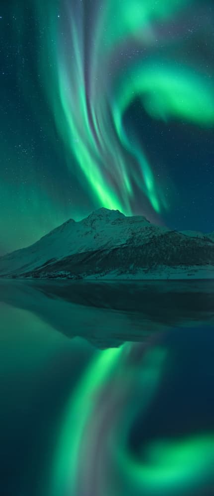 Reflecting Fairy by Stefan Hefele — canvas wall art