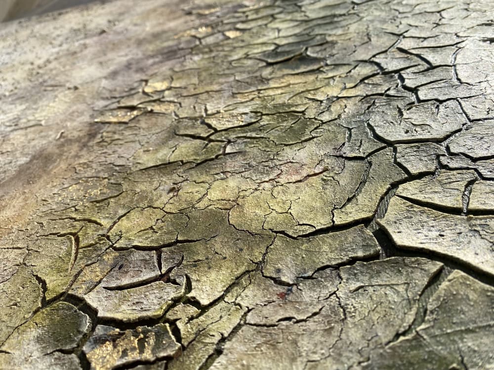 Weathered Organic Cracks by Gabriela Aleksandra Szuba — canvas wall art