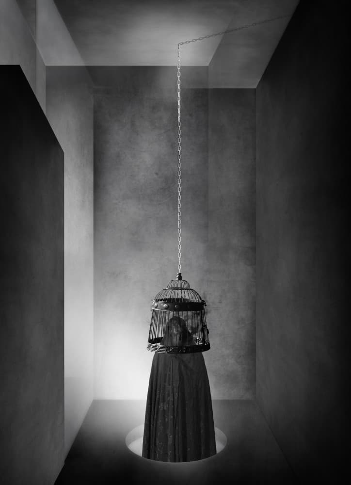 Confined Birdcage Figure by Hari Sulistiawan — canvas wall art