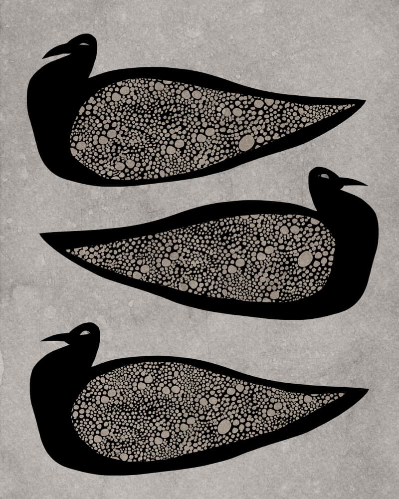 Three Patterned Birds by Josie George — canvas wall art