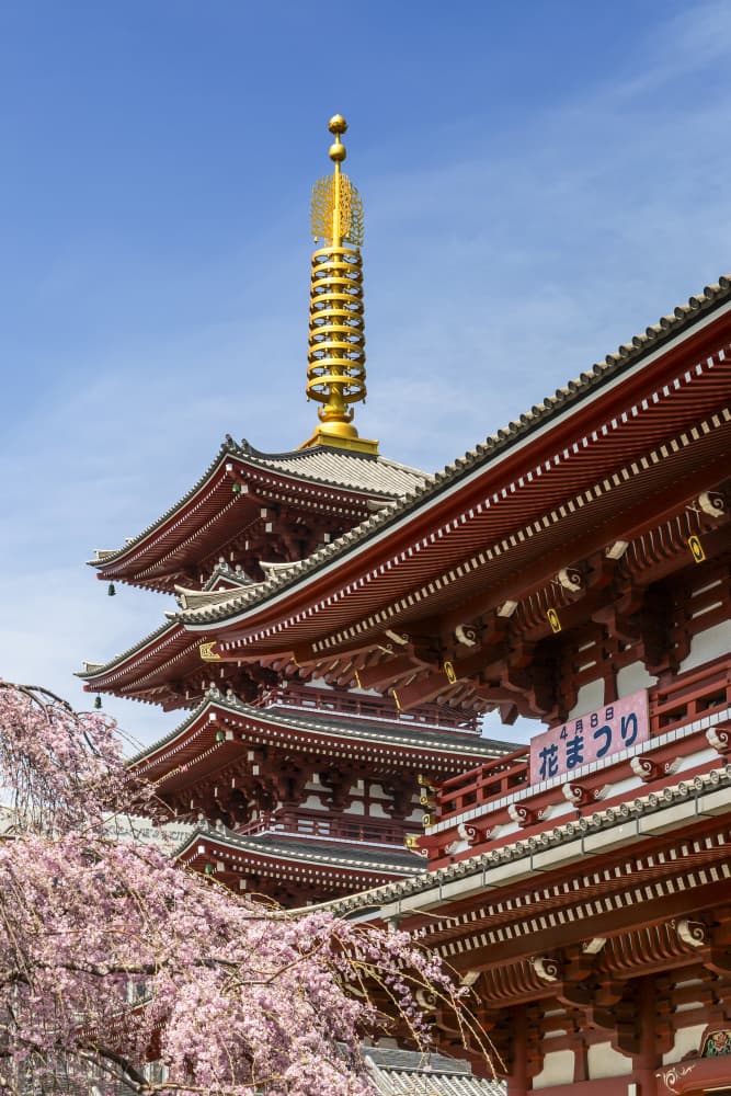 Japanese Temple Spring Blooms by Melanie Viola — canvas wall art