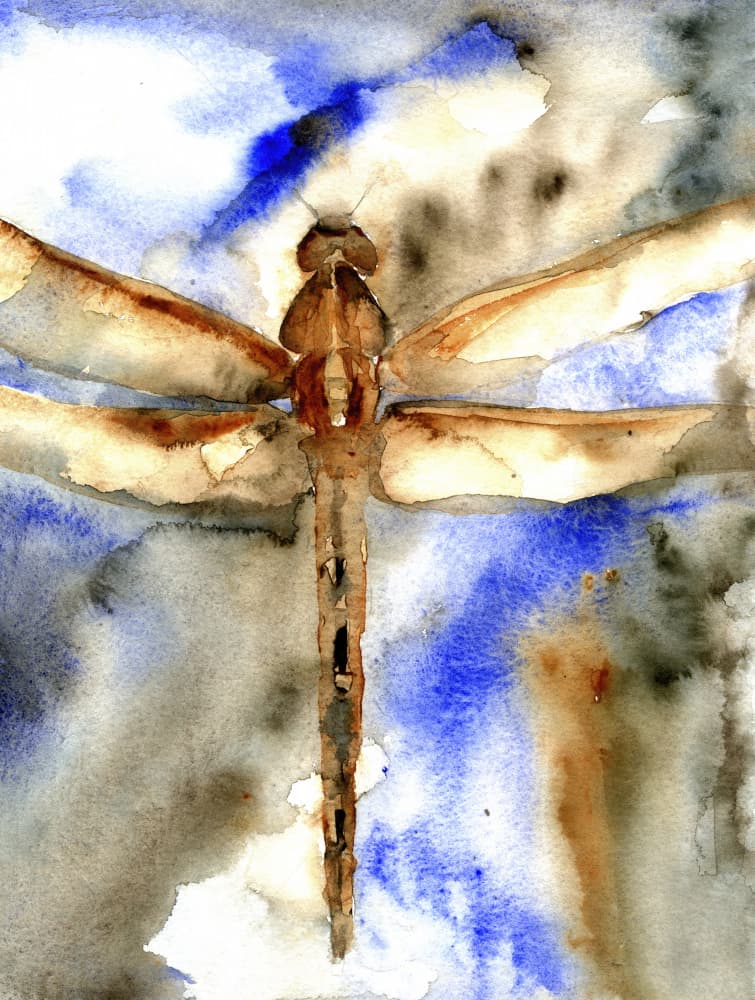 Blue Watercolor Dragonfly by RodMacIver — canvas wall art