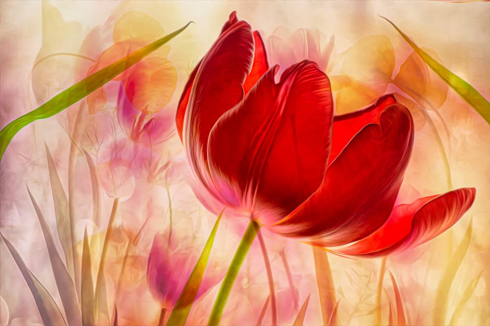 Dreamy Red Tulip Garden by Hilda van der Lee — canvas wall art