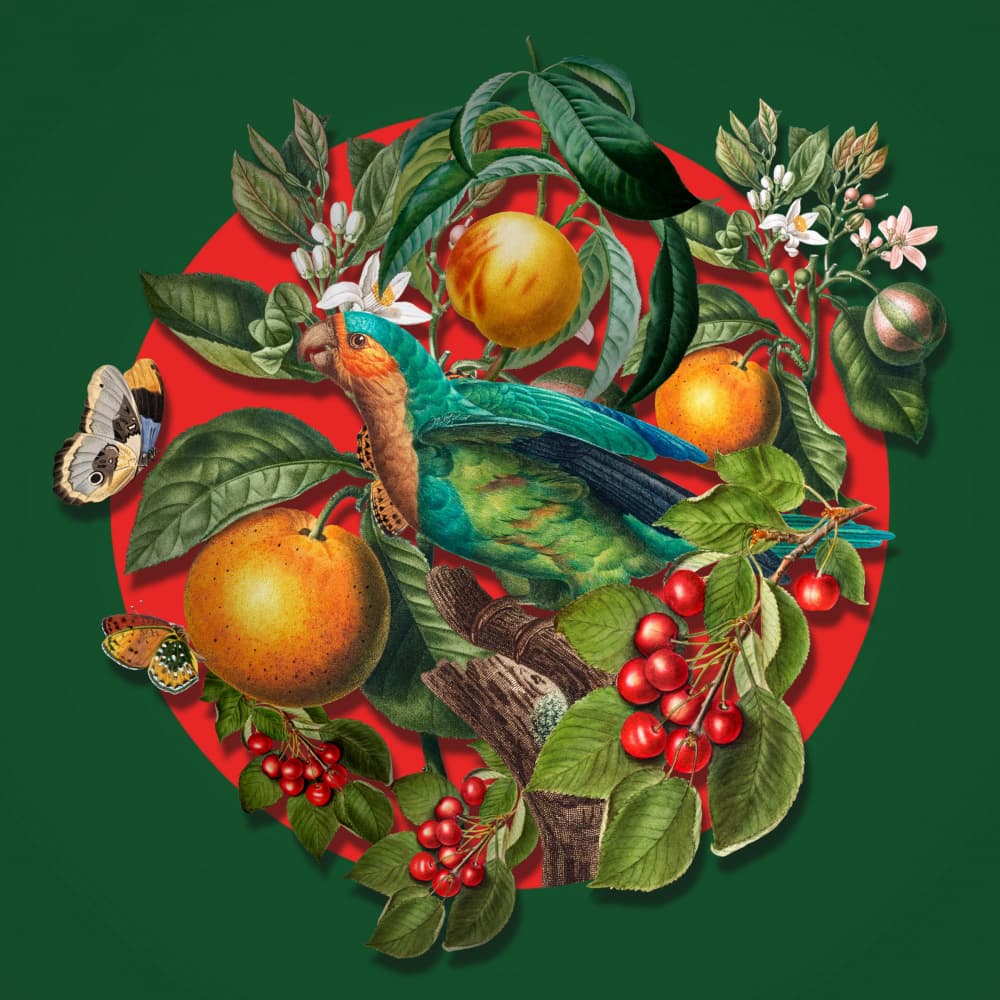 Vibrant Tropical Bird Fruits by Marja van den Hurk — canvas wall art