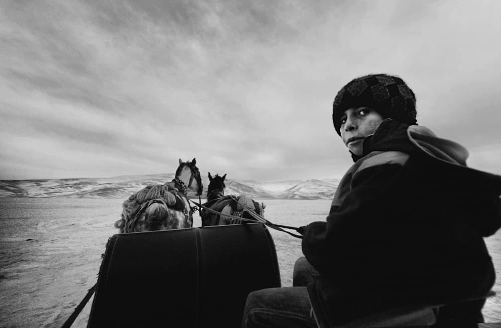 Winter Cart Driver by Emine Basa — canvas wall art