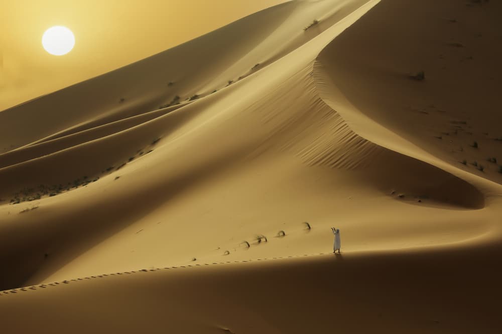 Golden Desert Solitude by Clas Gustafson PRO — canvas wall art