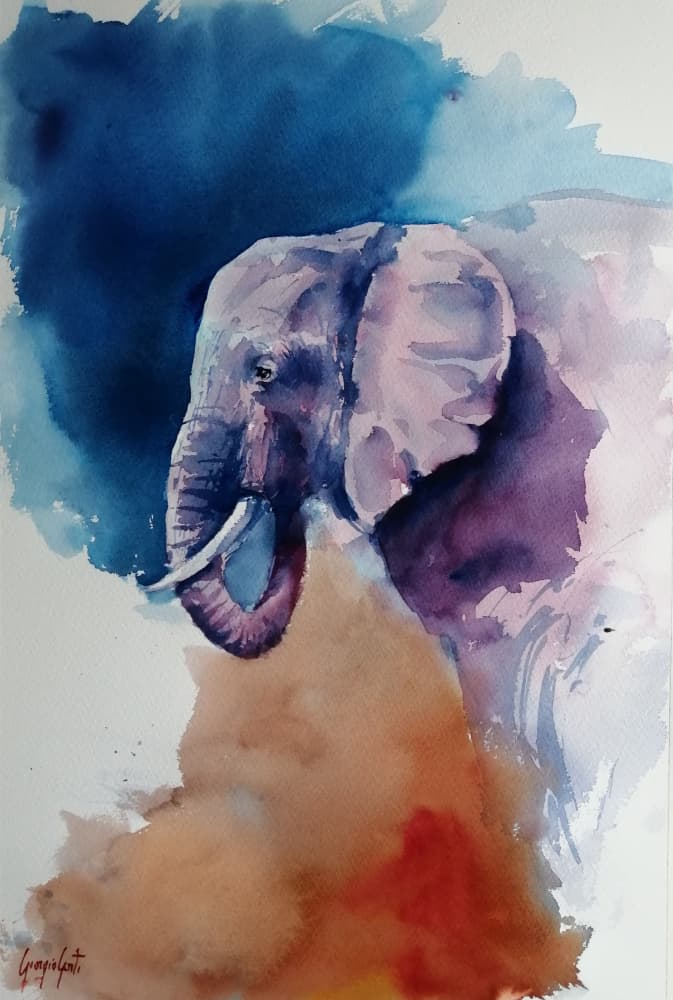 Elephant Abstract Colors by Giorgio Gosti — canvas wall art
