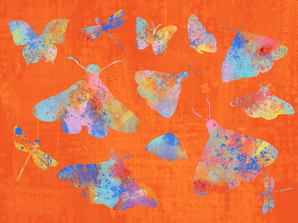 Colorful Splatter Insects by Aliya Putrus — canvas wall art