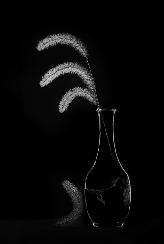 Feathery Grass Vase by John-Mei Zhong — canvas wall art