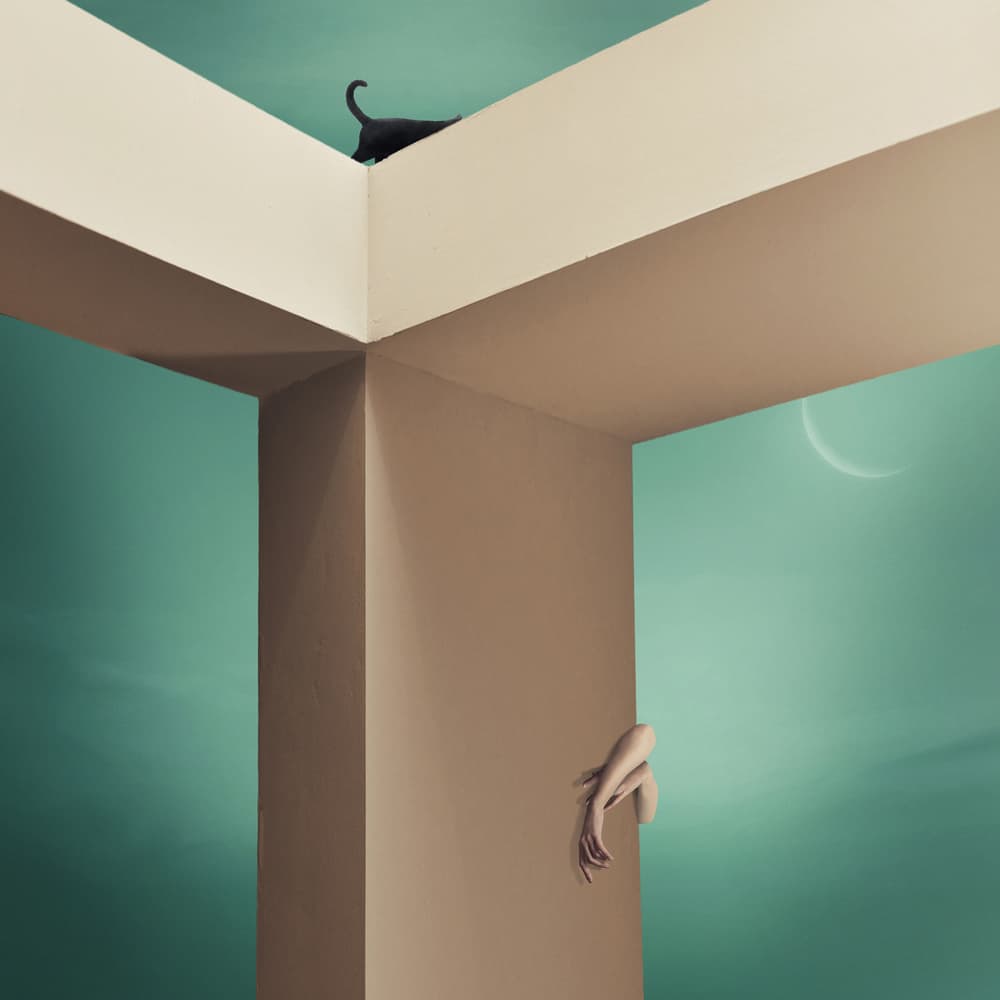 Curious Cat Dream by hardibudi — canvas wall art
