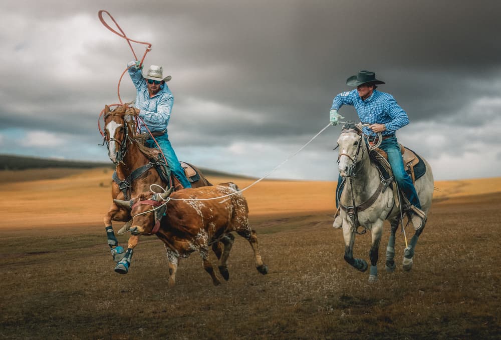 Cowboy Team Roping Action by Frank Ma — canvas wall art