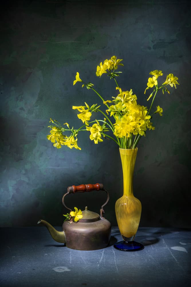 Vintage Teapot Yellow Flowers by Felice Angelino — canvas wall art