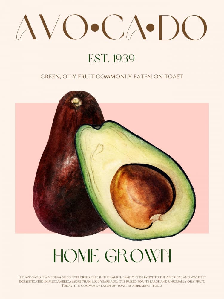 Home Grown Avocados by Nazma Khokhar — canvas wall art