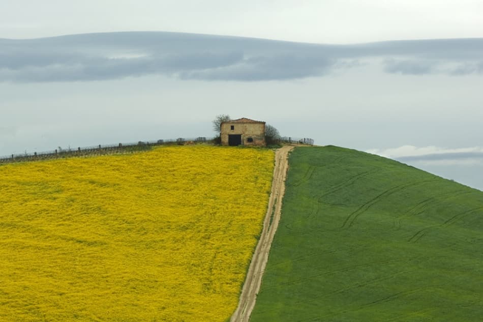 Contrasting Fields Country House by Jure Kravanja — canvas wall art