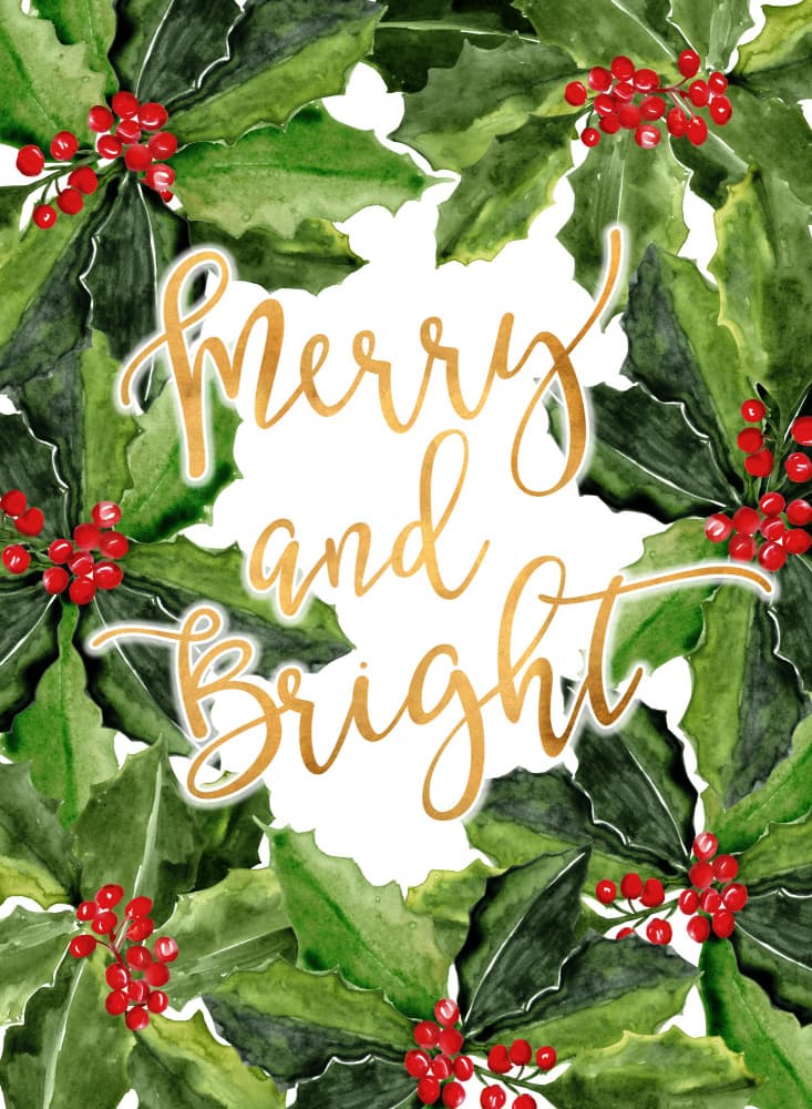Merry and Bright Holly by Rosana Laiz Blursbyai — canvas wall art