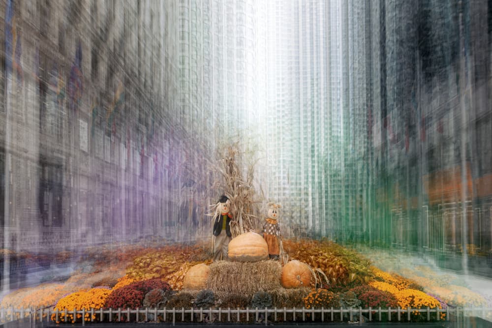Scarecrows and City Pumpkins by Roswitha Schleicher-Schwarz — canvas wall art