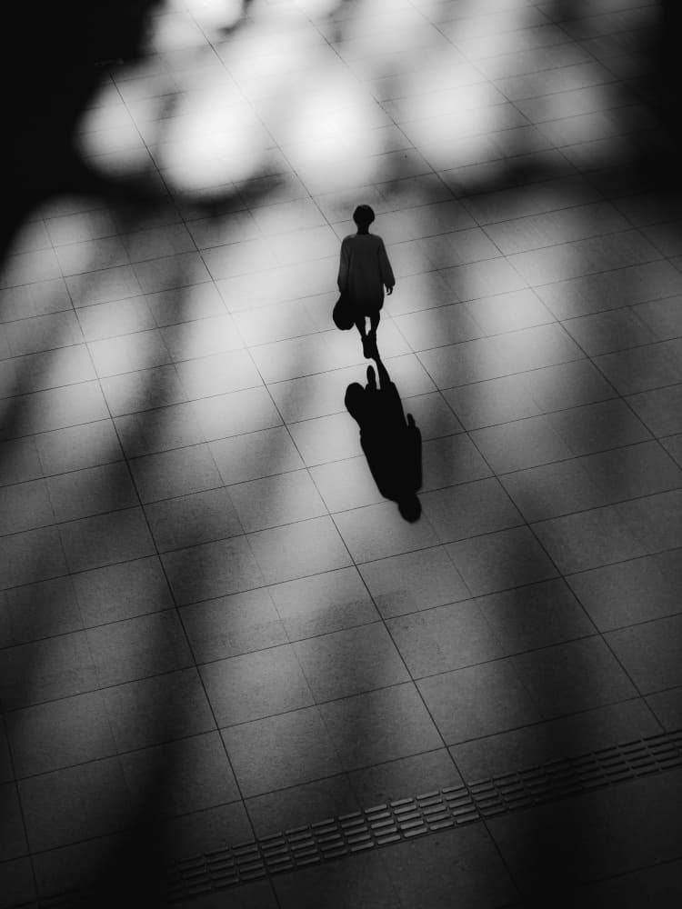 Walking Shadow Play by IKUMI FUKAZAWA — canvas wall art