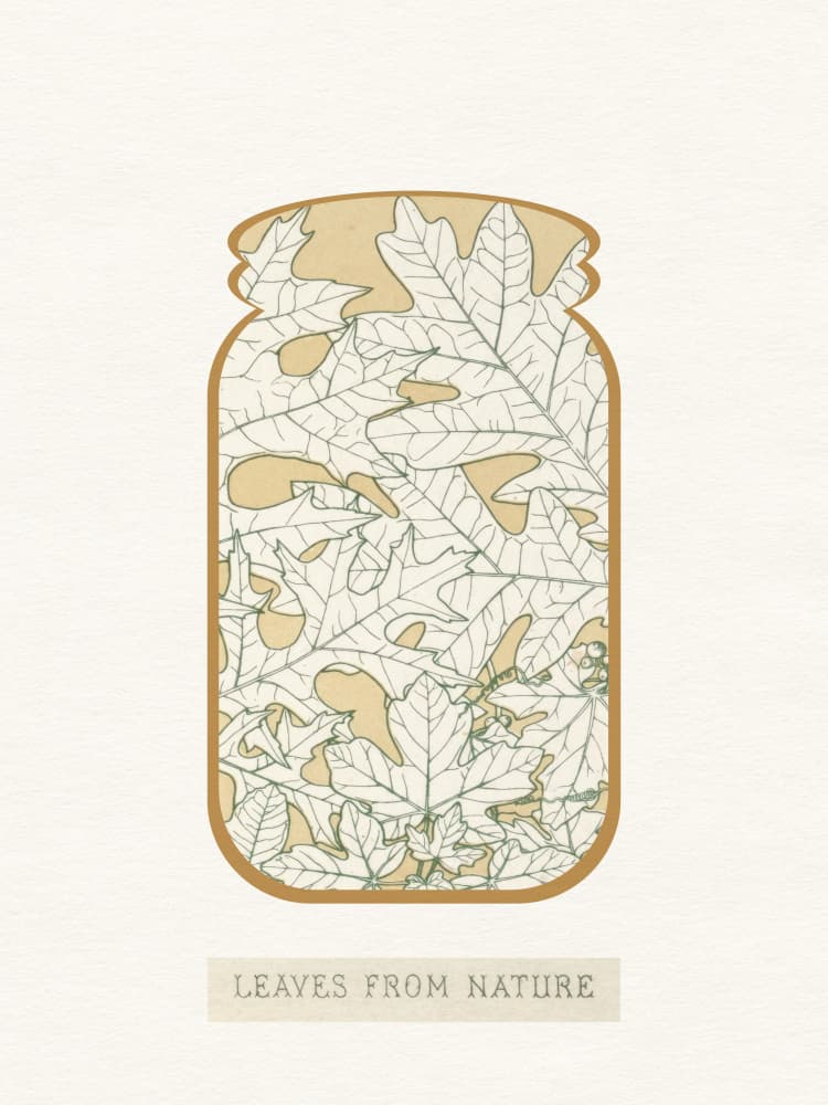 Oak Leaves In Jar by Wild Violets — canvas wall art