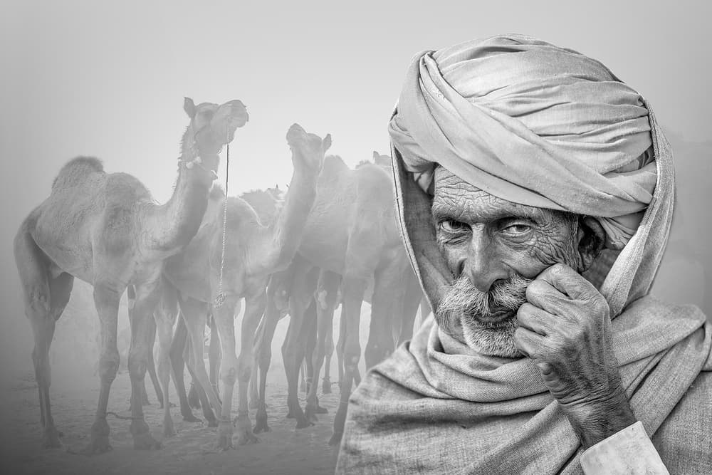 Misty Desert Man and Camels by Saurabh Sirohiya — canvas wall art