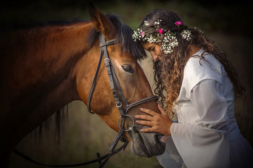 Flower Crown Horse Love by Adela Lia Rusu — canvas wall art