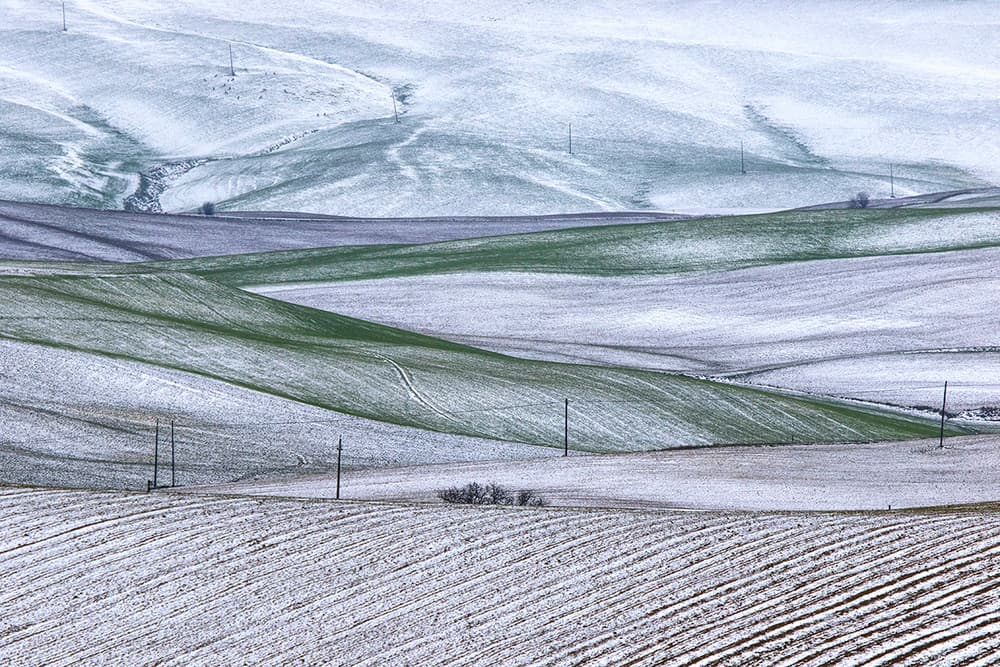 Layered Winter Fields by Massimo Della Latta — canvas wall art