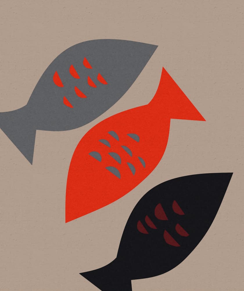 Three Modern Fish by Josie George — canvas wall art