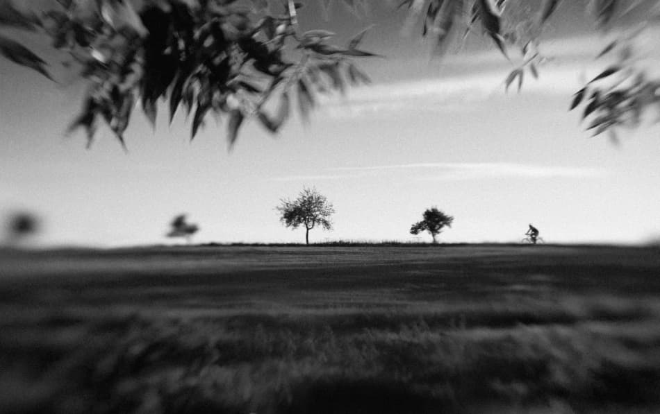 Lone Rider Landscape by Peter Svoboda MQEP — canvas wall art