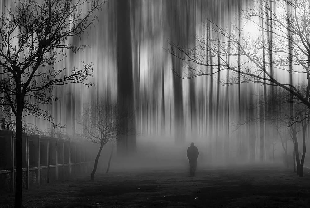 Solitary Man Foggy Woods by Emine Basa — canvas wall art
