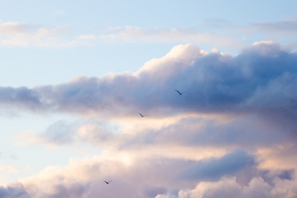 Flying High 12 by Mareike Böhmer — canvas wall art