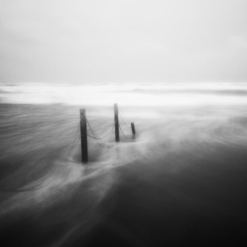 Misty Beach Posts by Massimo Della Latta — canvas wall art