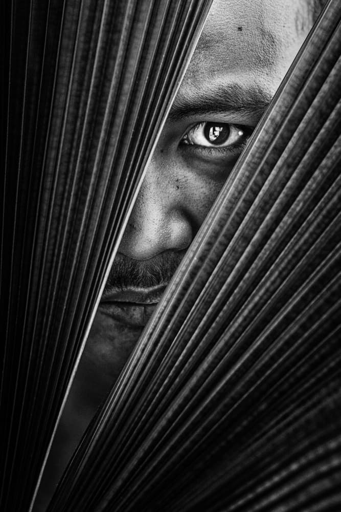Intense Hidden Eye by Andi Halil — canvas wall art