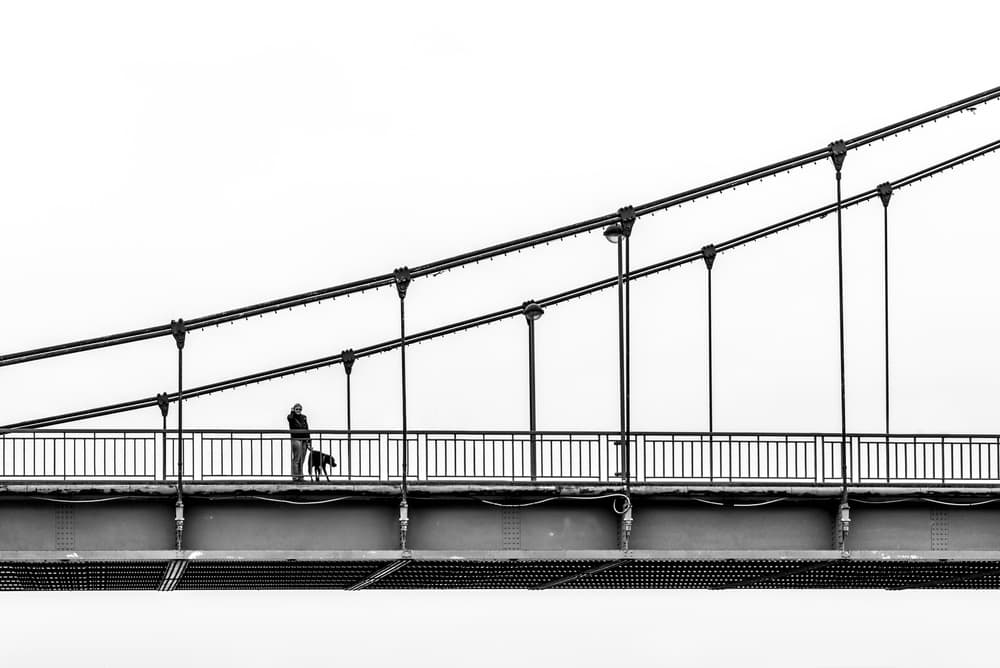 Man Walking Dog Bridge by Boris Hristov — canvas wall art
