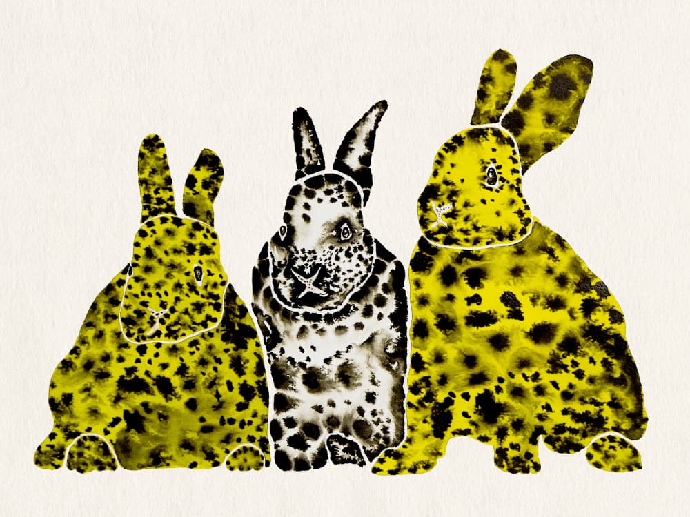 Spotted Leopard Rabbits by Santhosh ch — canvas wall art