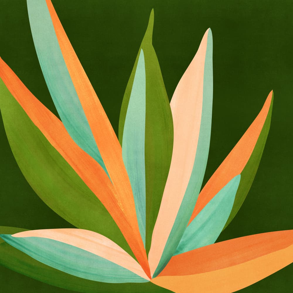 Summer Agave by Kristian Gallagher — canvas wall art