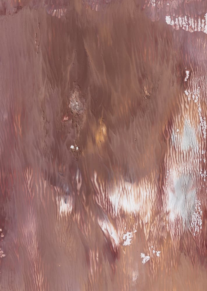 Earthy Flowing Abstract by Maira Ribena — canvas wall art