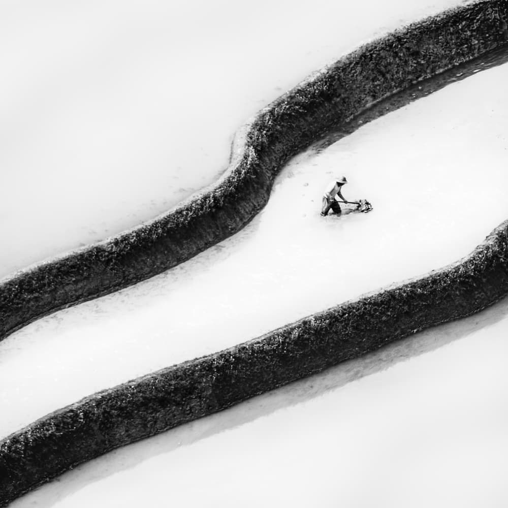 Man Working Rice Field by Piet Flour — canvas wall art