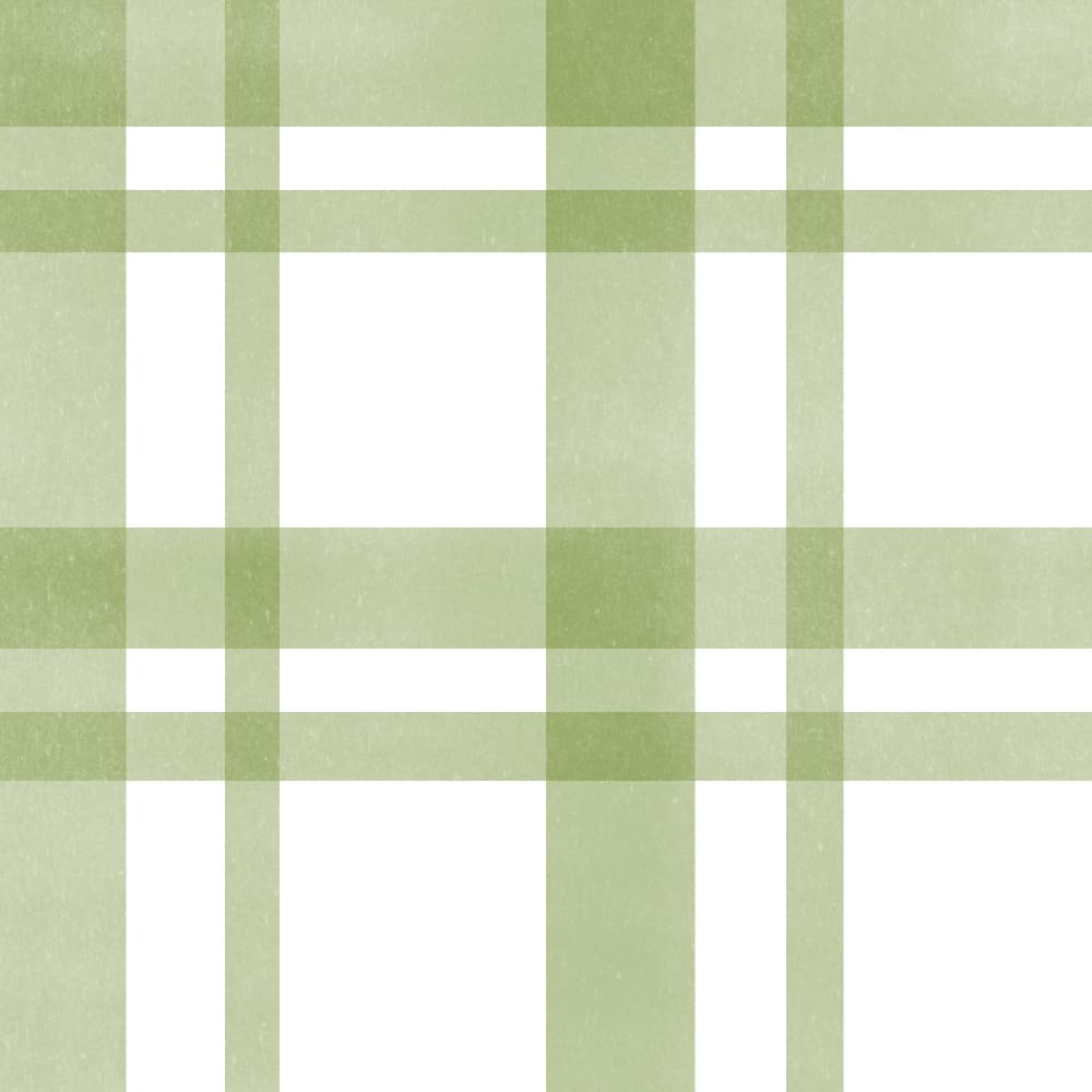 Soft Green Plaid Pattern by Charlotte Trudgett — canvas wall art