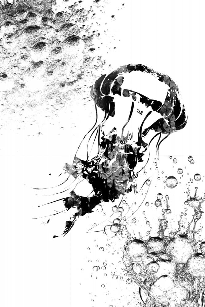 Ink Jellyfish Splash by Rafal Kulik — canvas wall art