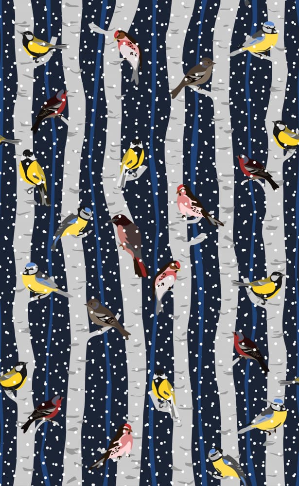 Winter Birds on Birches by Annick — canvas wall art