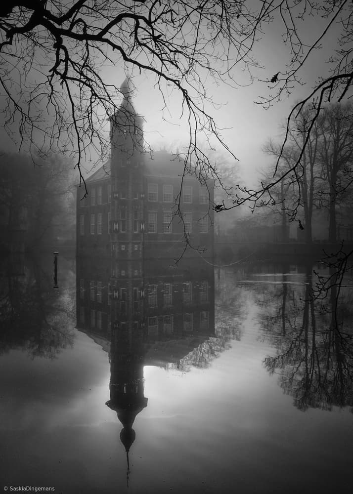 Frozen by Saskia Dingemans — canvas wall art