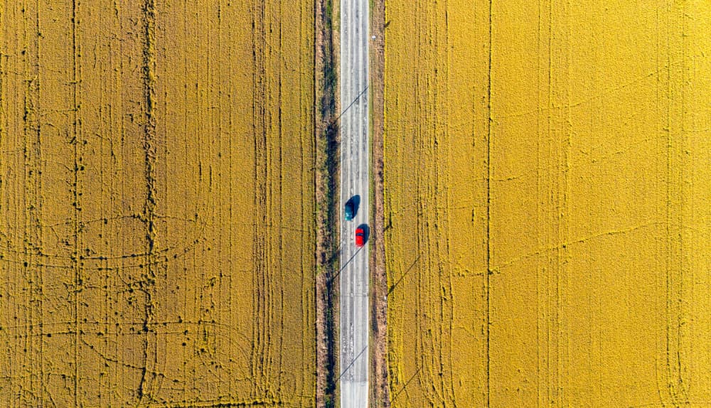 Golden Field Country Road by Fiorenzo Carozzi — canvas wall art
