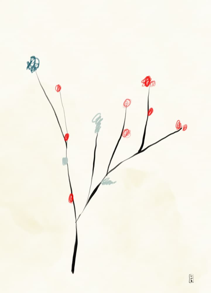 Red Berry Branch Sketch by Martino Pietropoli — canvas wall art