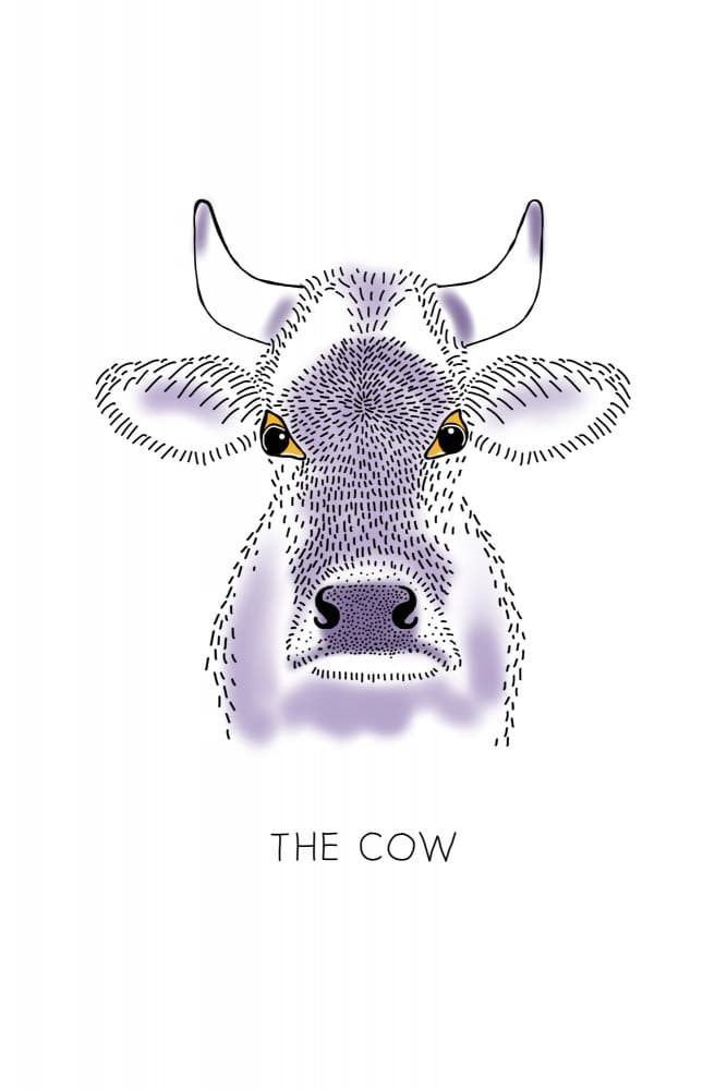 Purple Cow Portrait by Alexandra Weise — canvas wall art