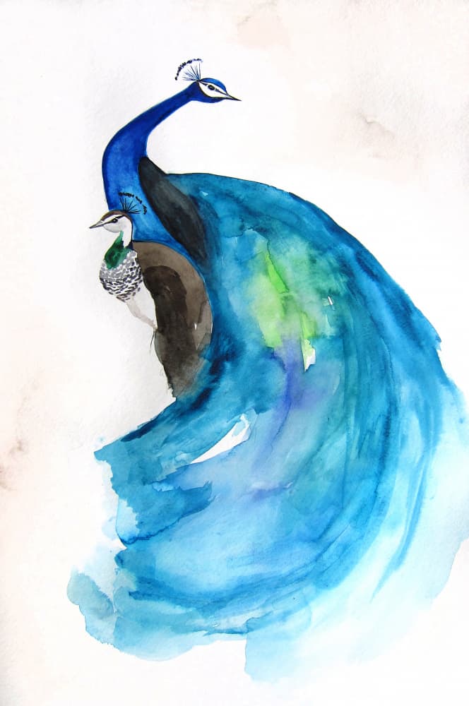 Majestic Blue Peacock by Christine Lindstrom — canvas wall art